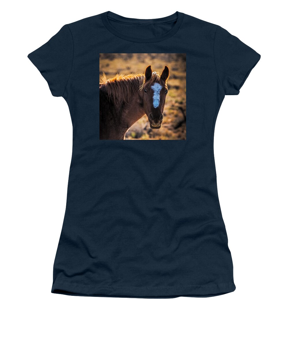 Horse Women's T-Shirt featuring the photograph Horse with backlight by Paul Freidlund