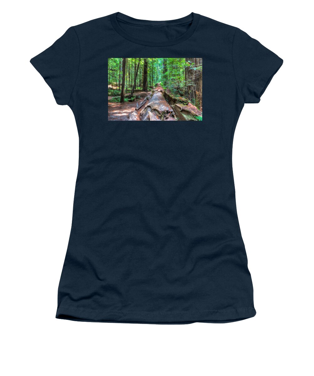 California Women's T-Shirt featuring the photograph Humboldt Redwoods by Heidi Smith