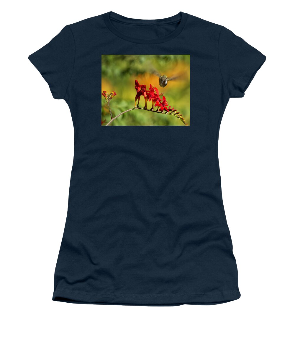 Hummingbird Women's T-Shirt featuring the photograph Hummingbird Materializing by Belinda Greb