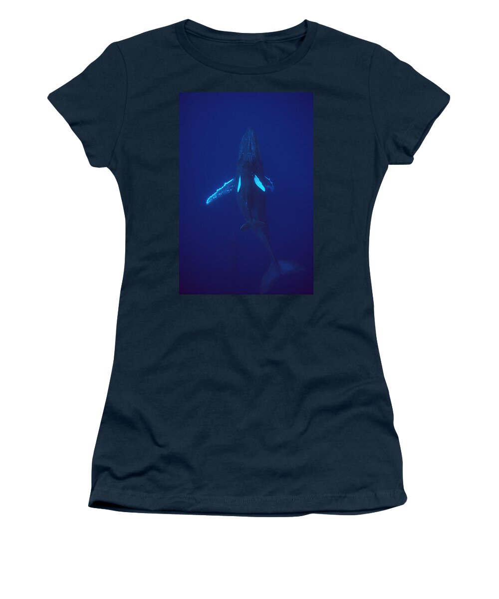 Feb0514 Women's T-Shirt featuring the photograph Humpback Whale Calf And Mother Hawaii by Flip Nicklin