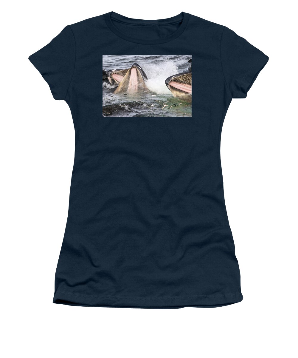Flip Nicklin Women's T-Shirt featuring the photograph Humpback Whales Gulp Feeding Alaska by Flip Nicklin