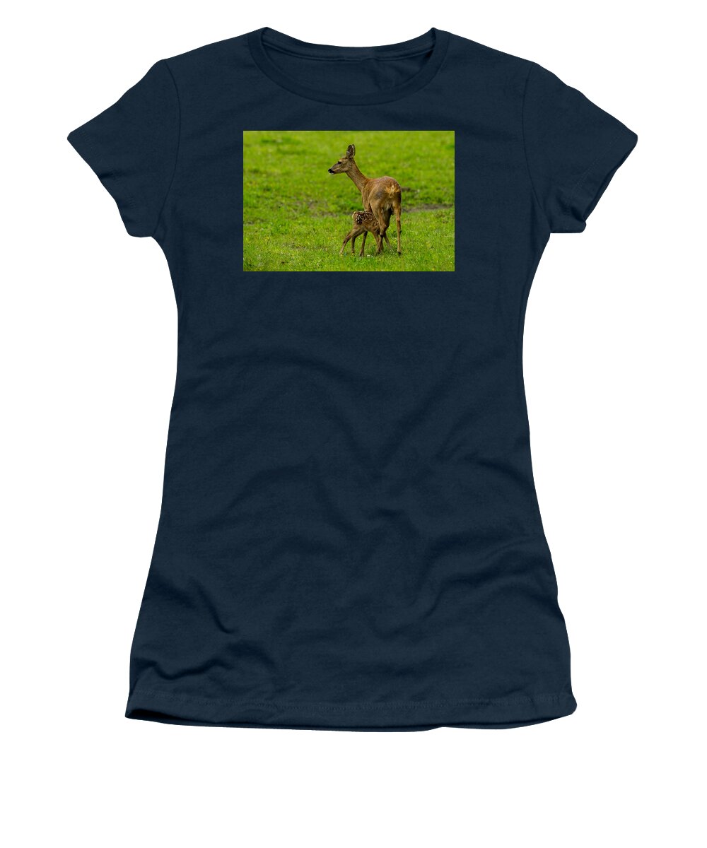 Hungry Roe Deer Fawn Women's T-Shirt featuring the photograph Hungry by Torbjorn Swenelius