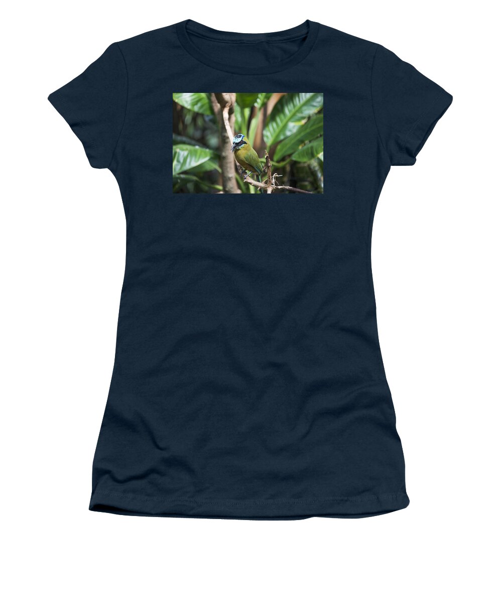 Animals Women's T-Shirt featuring the photograph I See You by Theodore Jones