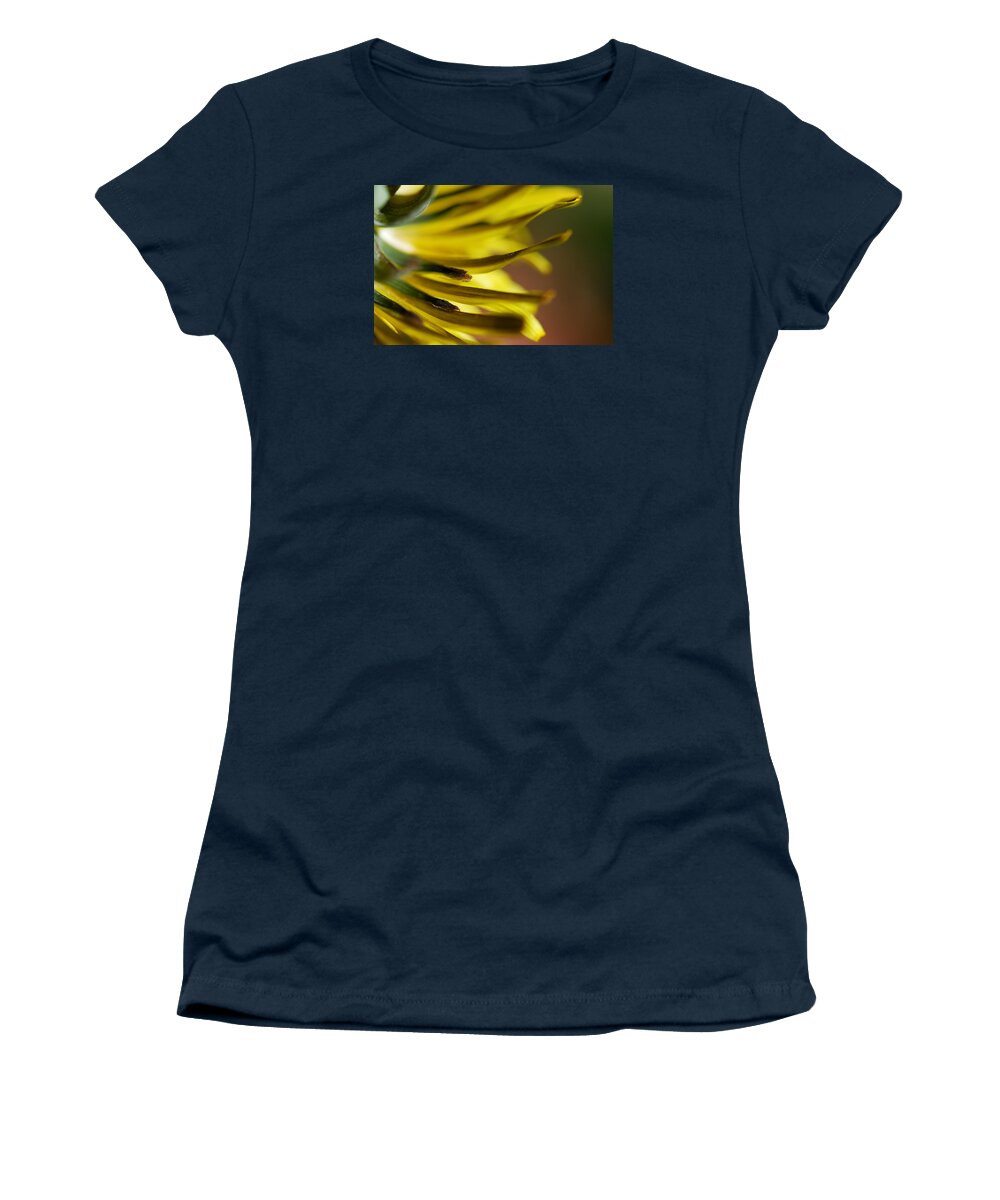 Dandelion Women's T-Shirt featuring the photograph Just Dandy by Wendy Wilton