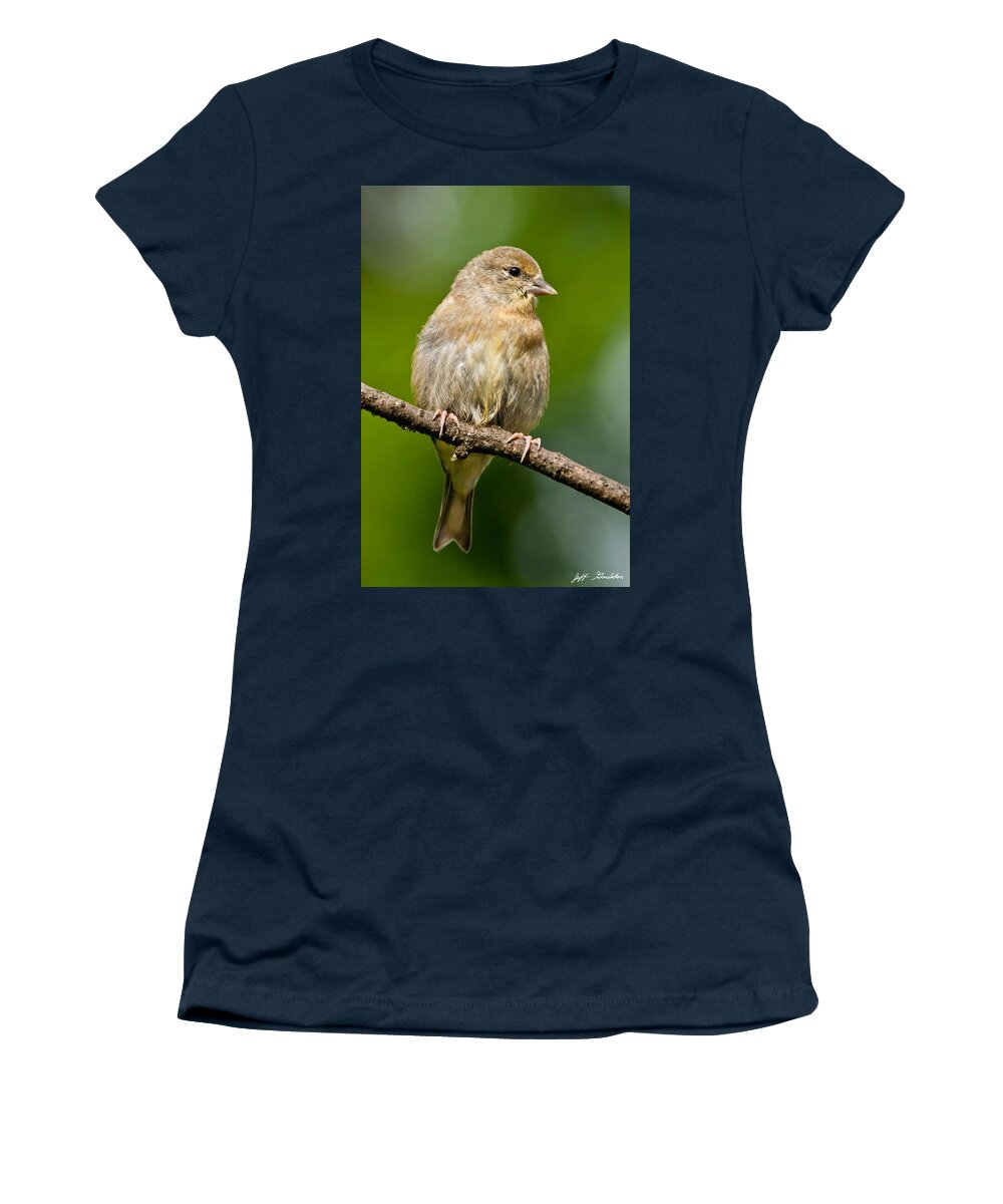 American Goldfinch Women's T-Shirt featuring the photograph Juvenile American Goldfinch by Jeff Goulden