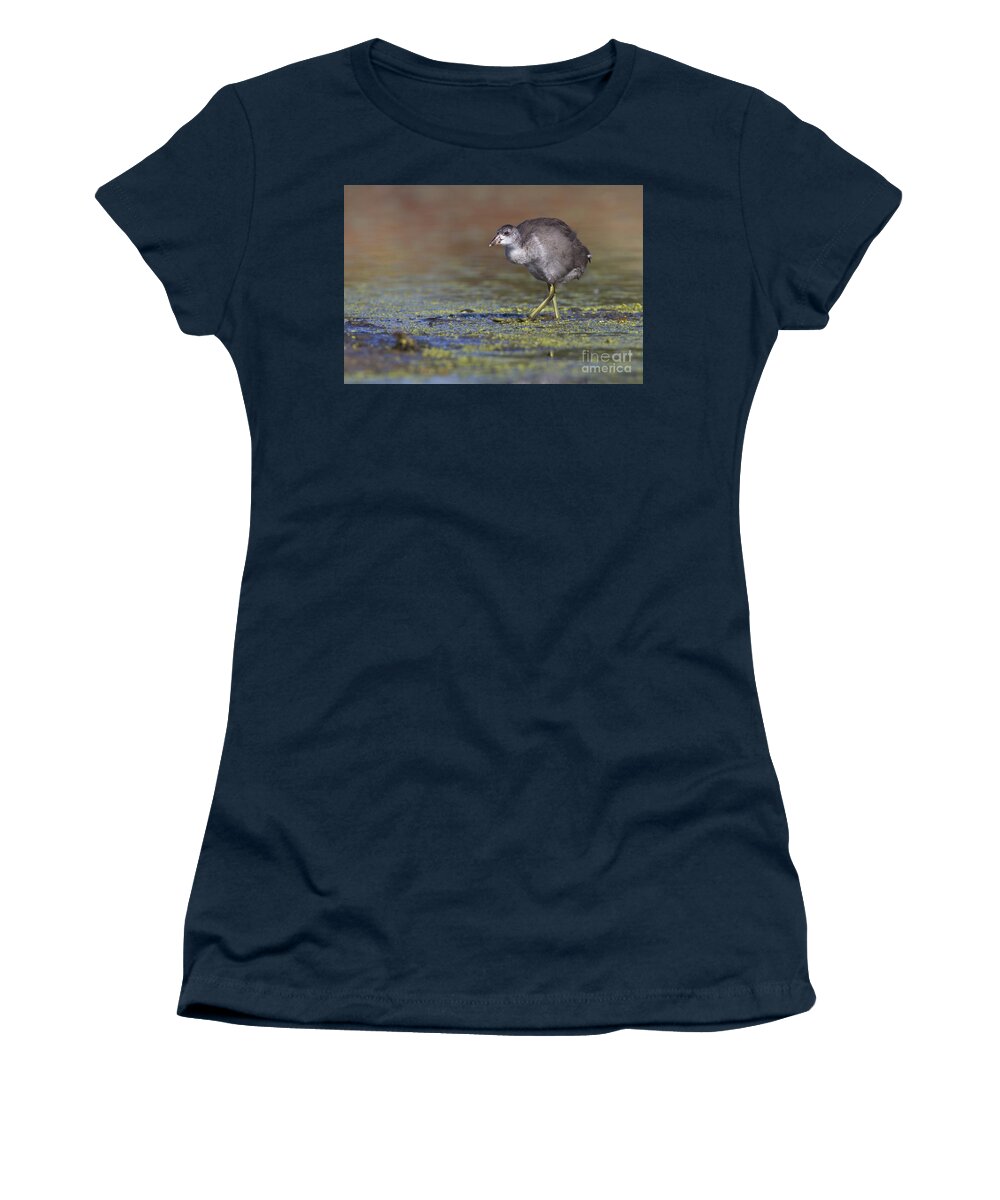American Coot Women's T-Shirt featuring the photograph Juvi Coot by Bryan Keil