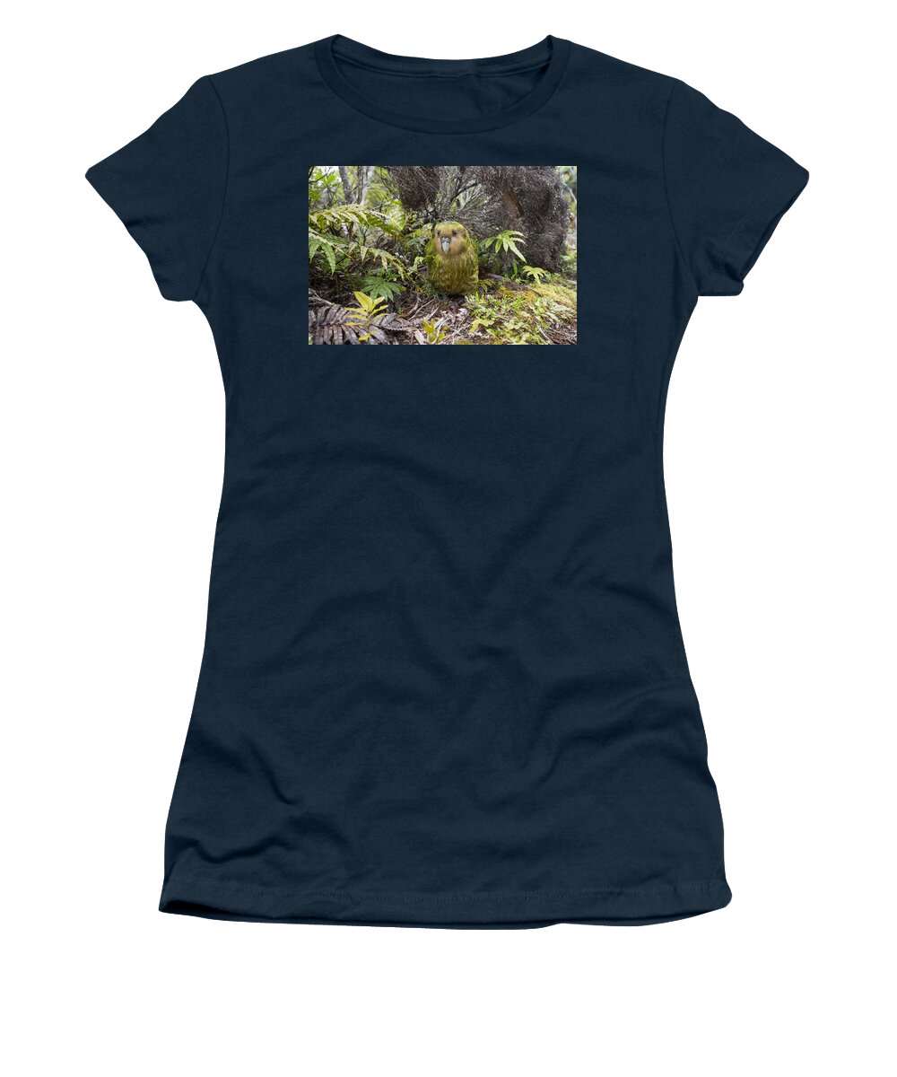 Tui De Roy Women's T-Shirt featuring the photograph Kakapo Male In Forest Codfish Island by Tui De Roy