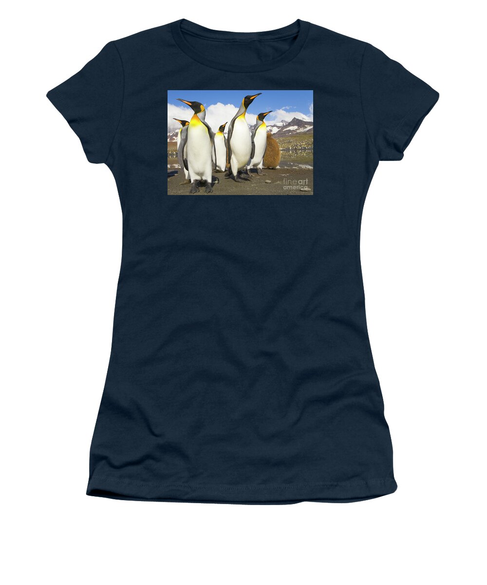 00345347 Women's T-Shirt featuring the photograph King Penguins At St Andrews Bay by Yva Momatiuk and John Eastcott
