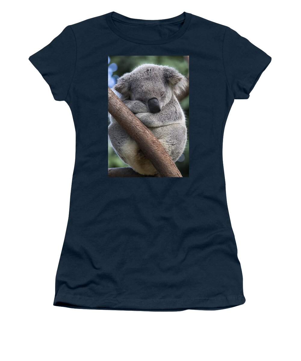 Feb0514 Women's T-Shirt featuring the photograph Koala Male Sleeping Australia by Suzi Eszterhas