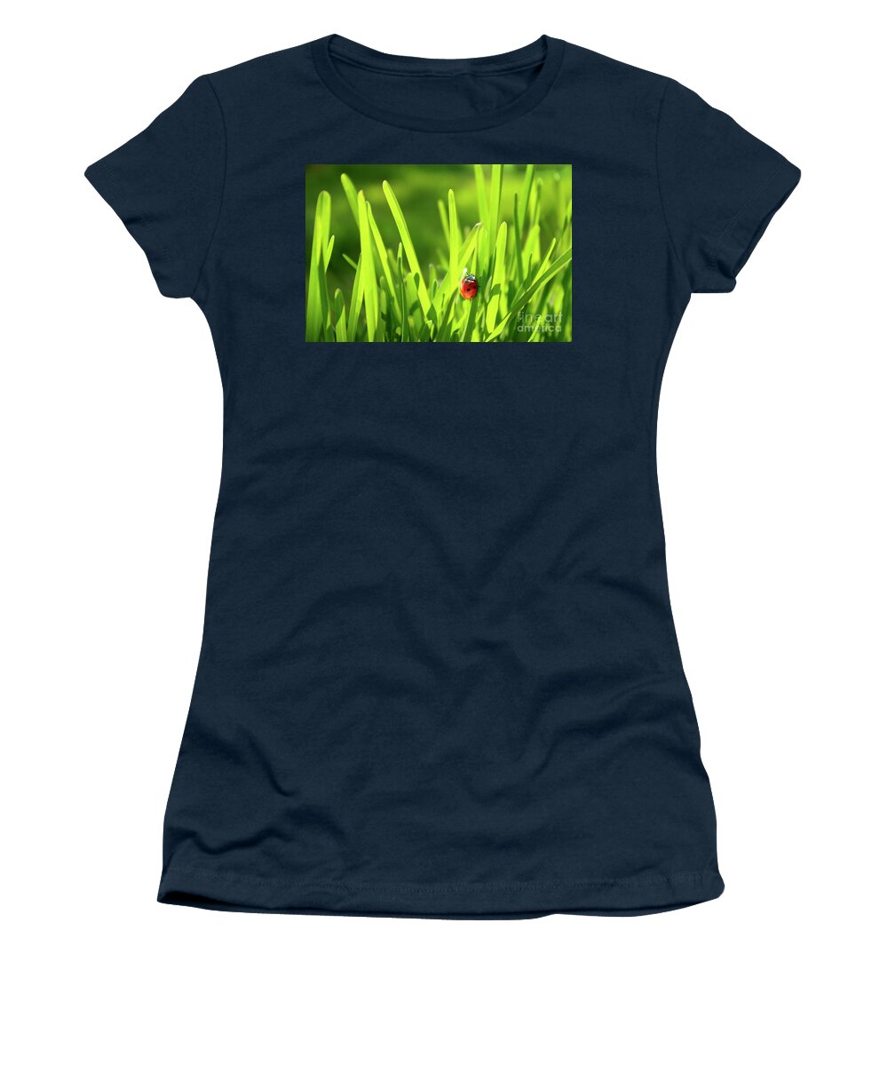 Autumn Women's T-Shirt featuring the photograph Ladybug in Grass by Carlos Caetano
