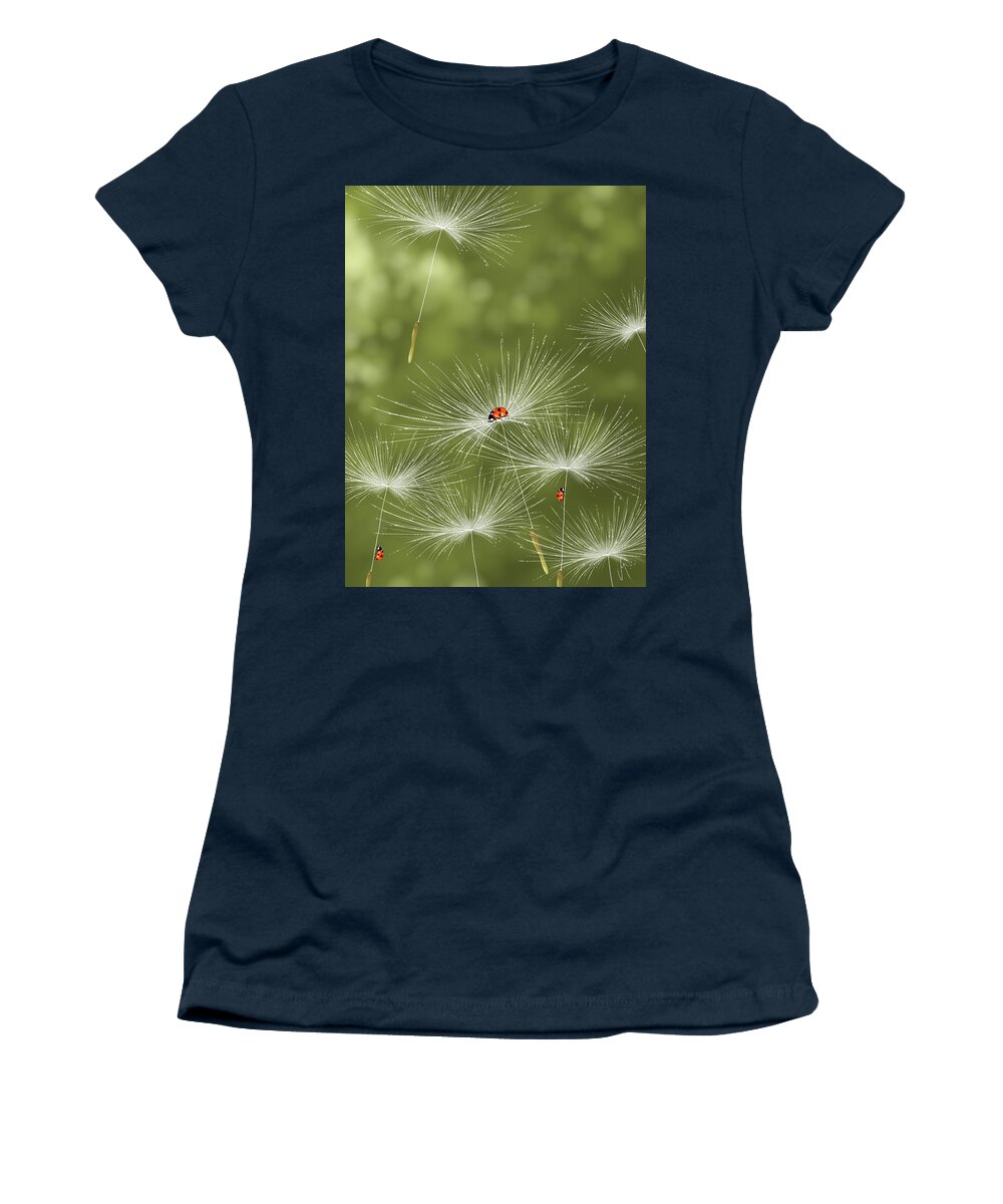 Spring Women's T-Shirt featuring the painting Ladybug by Veronica Minozzi