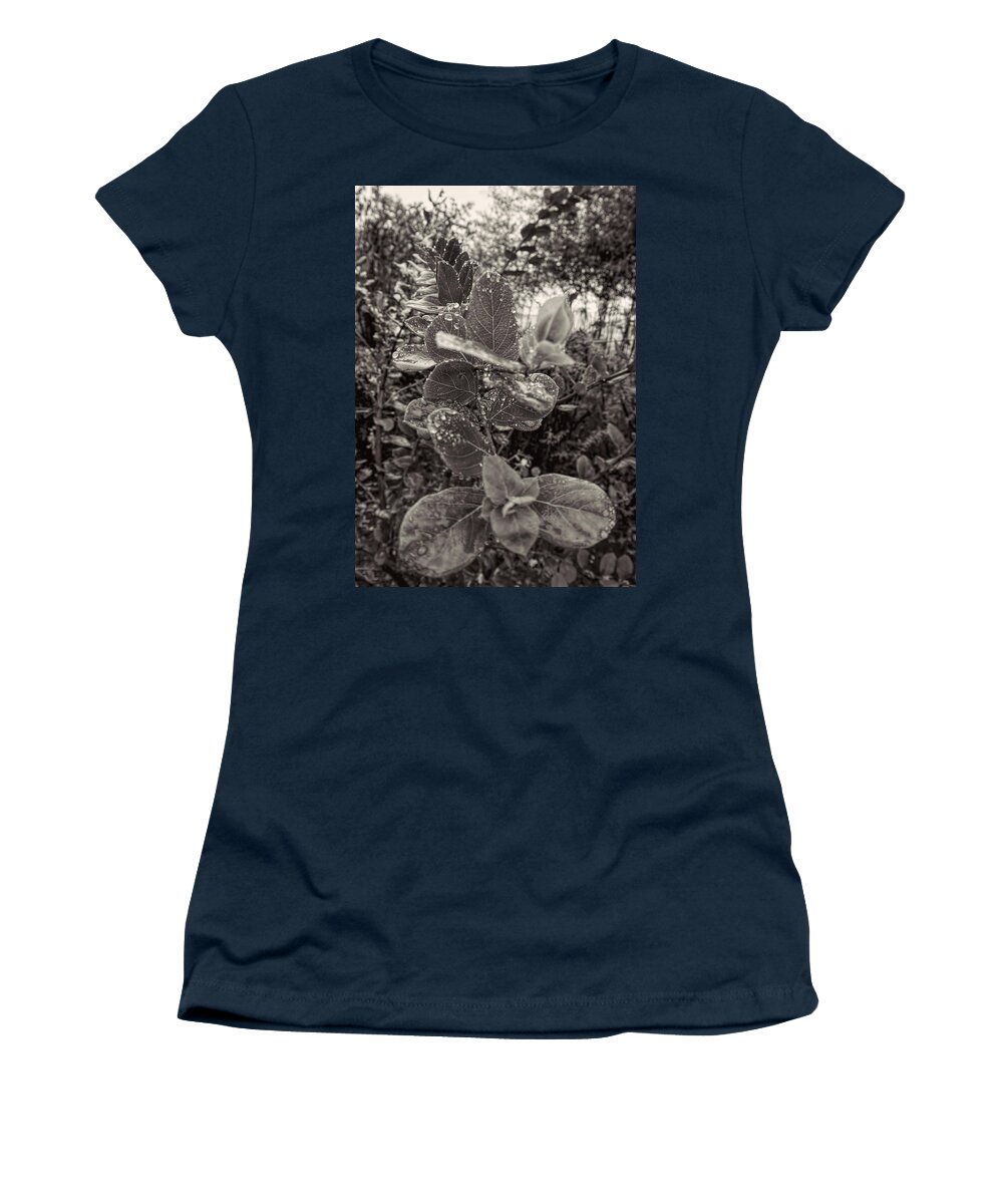 Raindrops Women's T-Shirt featuring the photograph Leaves 2 by Cathy Anderson