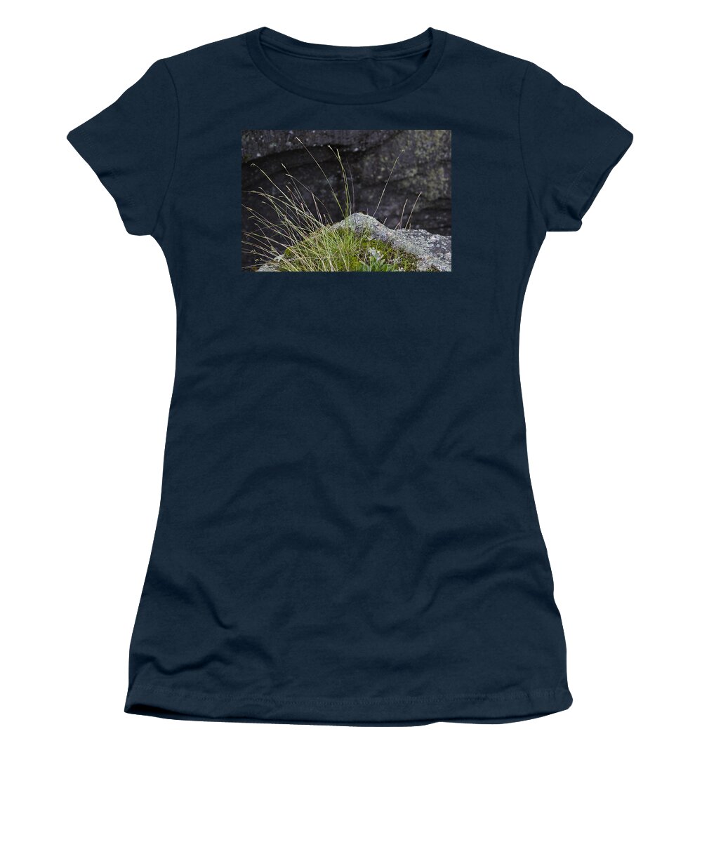 Grass Women's T-Shirt featuring the photograph Life on the Edge by Peter J Sucy