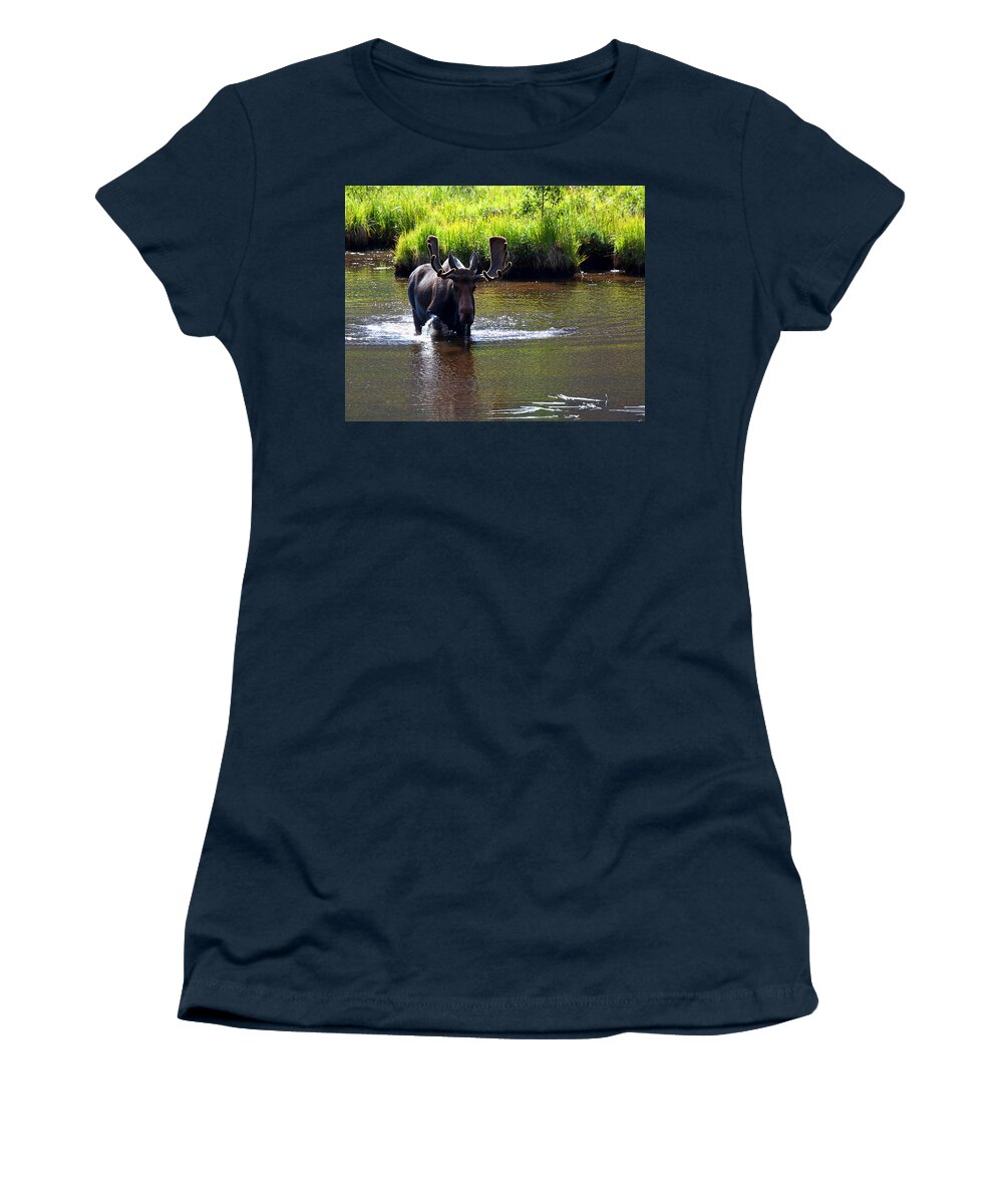 Moose Photograph Women's T-Shirt featuring the photograph Like a Bull in a China Clloset by Jim Garrison