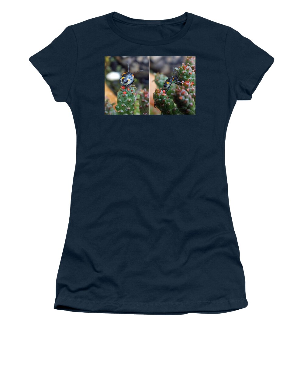 Duane Mccullough Women's T-Shirt featuring the photograph Little Beetle on Succulent Plant by Duane McCullough