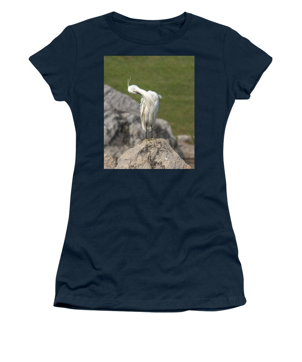 Nature Women's T-Shirt featuring the photograph Little Egret Preening DTHN0079 by Gerry Gantt