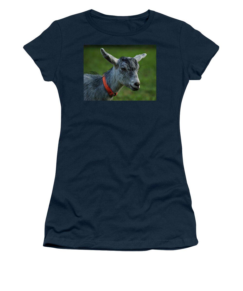 Goat Women's T-Shirt featuring the photograph Little Goat by Sandy Keeton