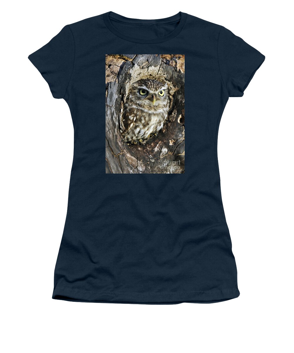Little Owl Women's T-Shirt featuring the photograph Little owl 6 by Arterra Picture Library