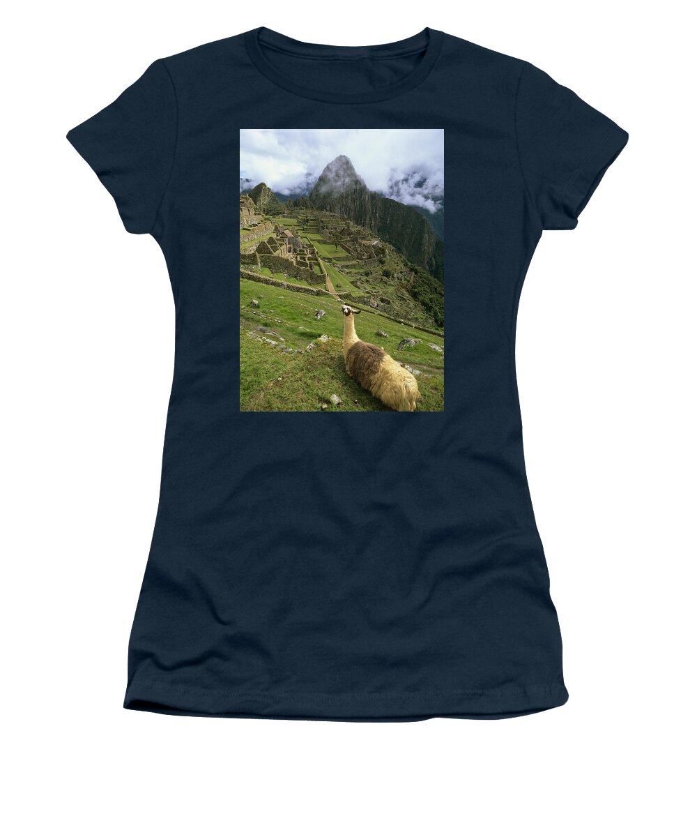 Urubamba Valley Women's T-Shirt featuring the photograph Llama At Machu Picchu by Chris Caldicott