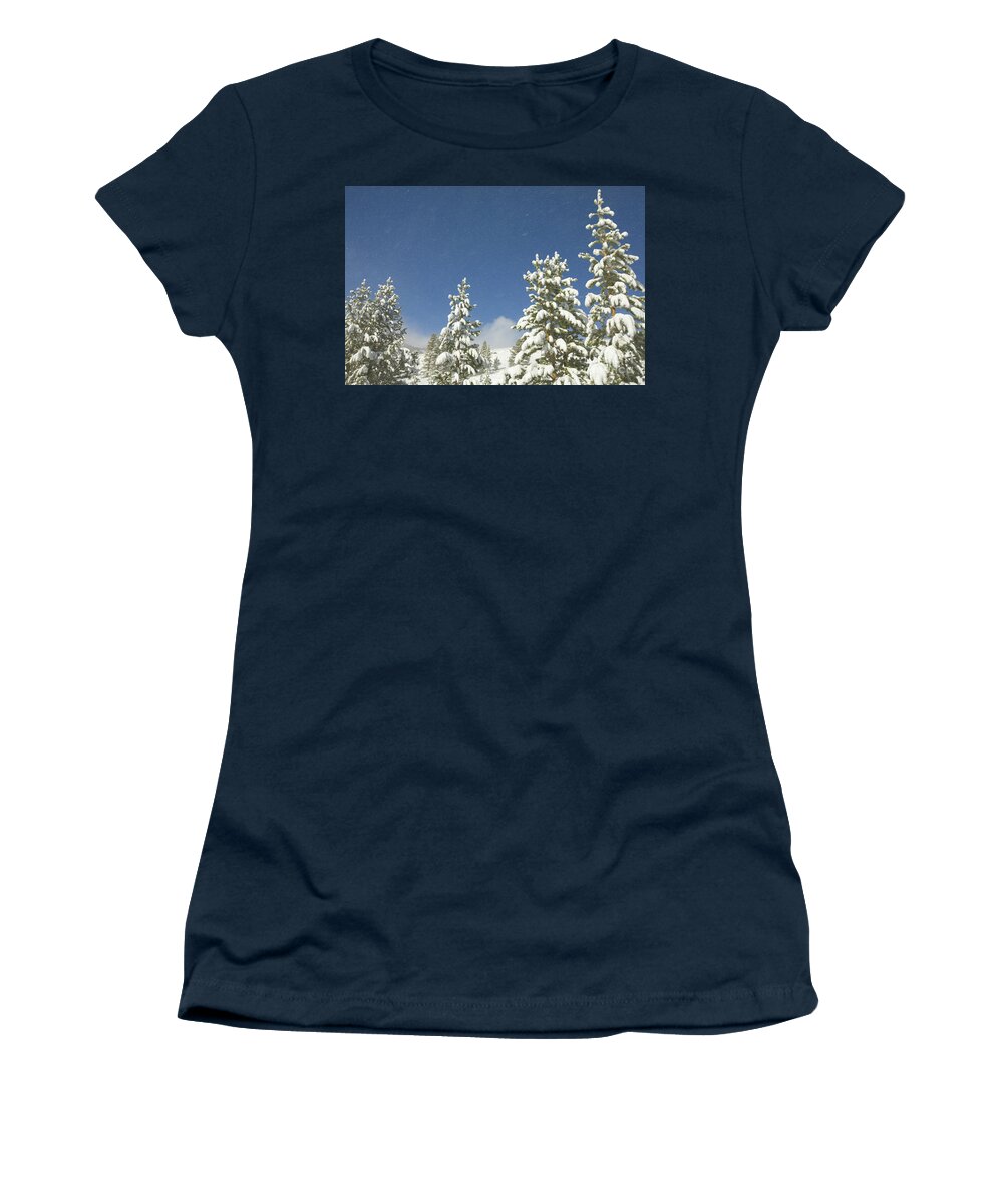 00431184 Women's T-Shirt featuring the photograph Lodgepole Pines In The Wind by Yva Momatiuk John Eastcott