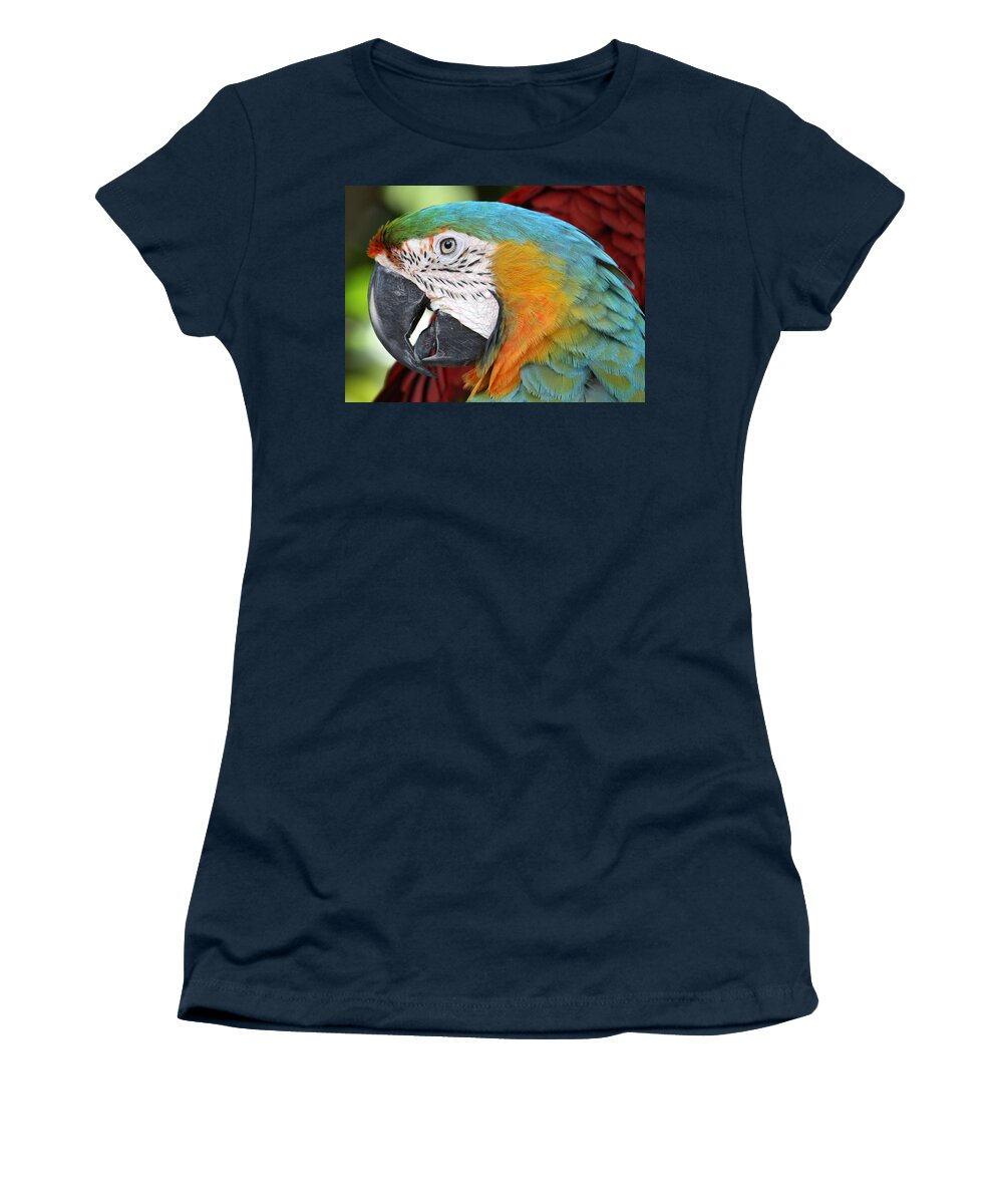 Parrot Women's T-Shirt featuring the photograph Magnificent Macaw by David Nicholls