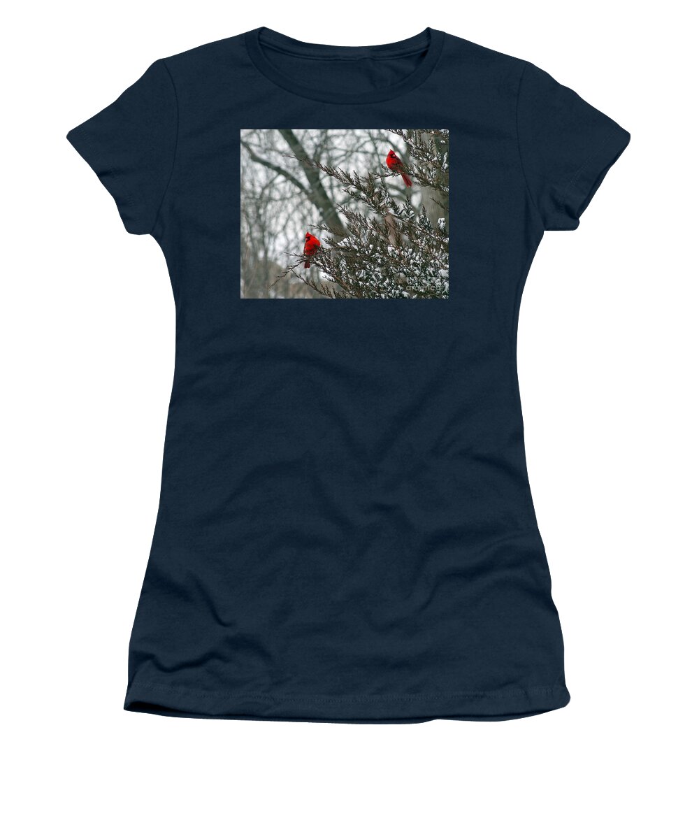 Winter Women's T-Shirt featuring the photograph Male Cardinal Pair by Karen Adams