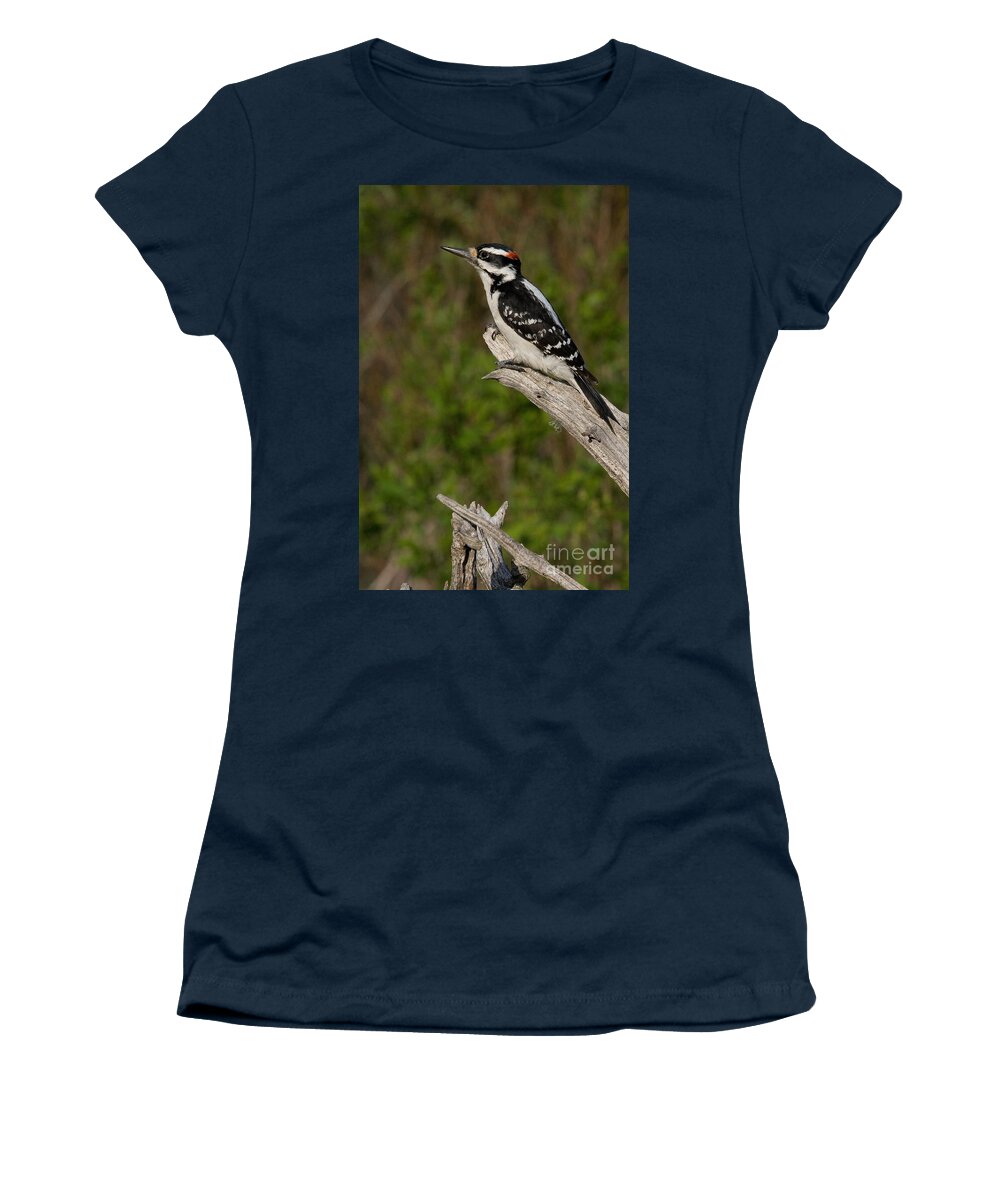 Hairy Woodpecker Women's T-Shirt featuring the photograph Male Hairy Woodpecker by Linda Freshwaters Arndt