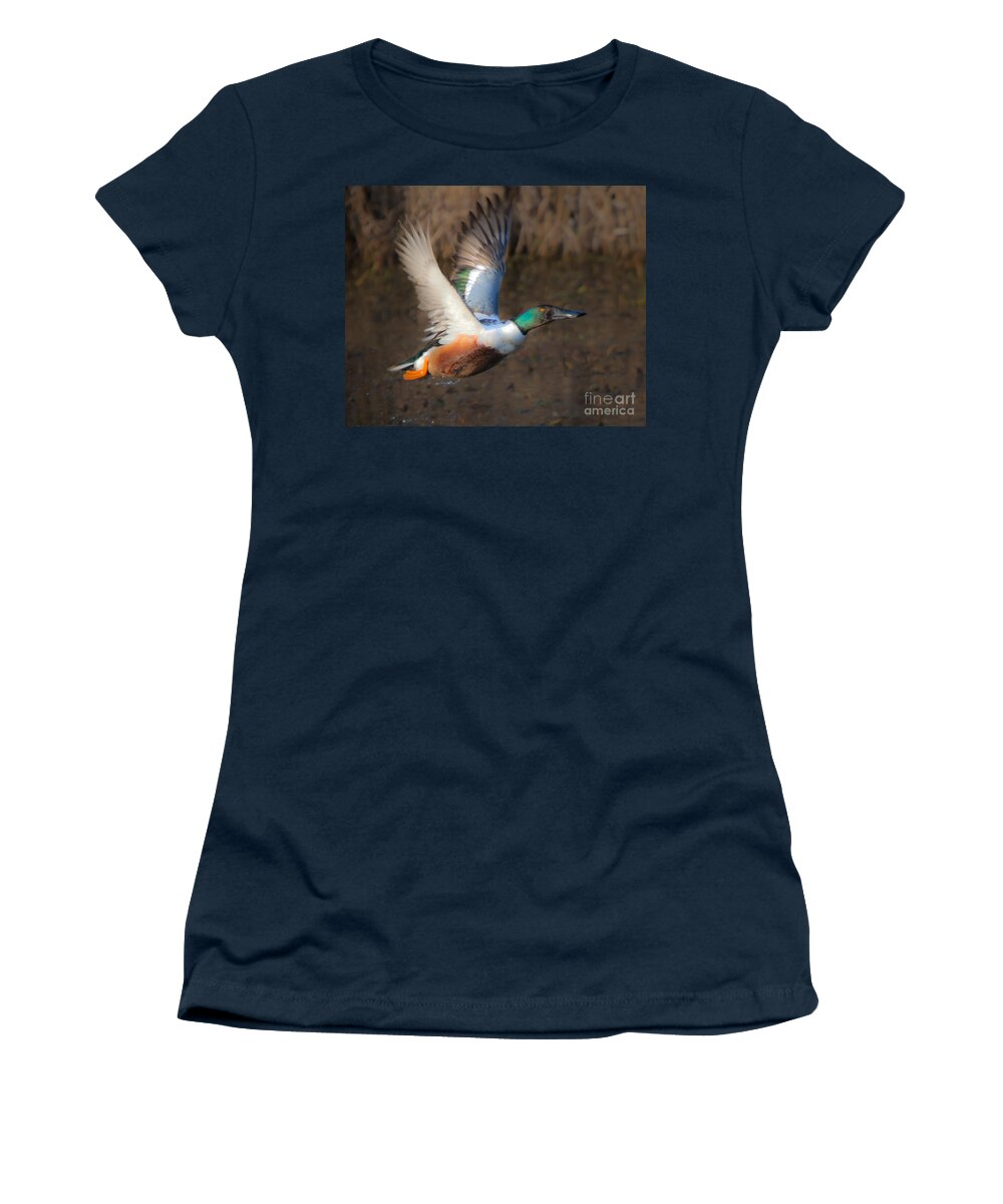 Male Women's T-Shirt featuring the photograph Male Northern Shoveler by Ronald Lutz