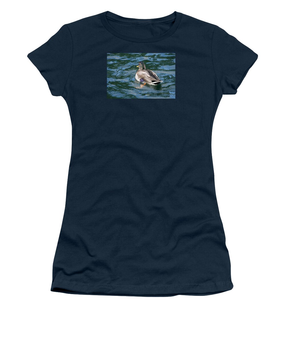 Mallard Women's T-Shirt featuring the photograph Mallard Duck by Valerie Collins
