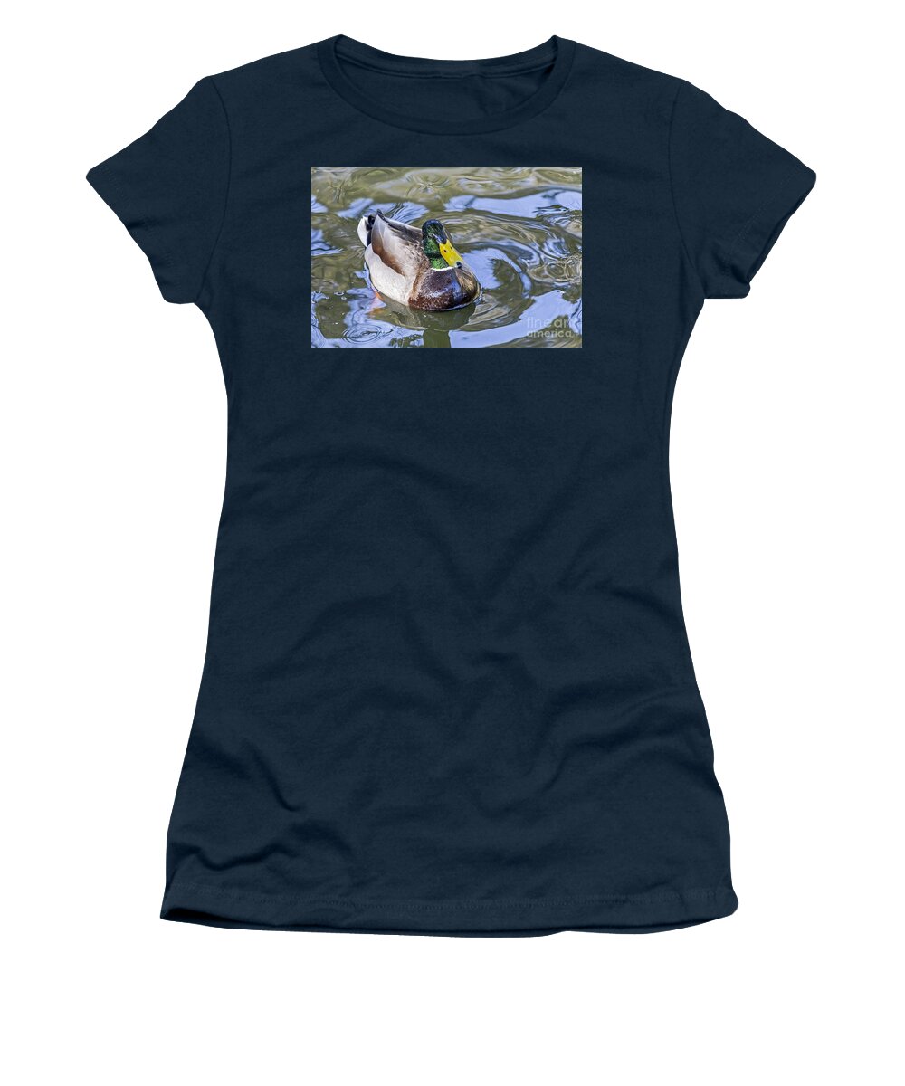 Anas Platyrhynchos Women's T-Shirt featuring the photograph Mallard Posing by Kate Brown