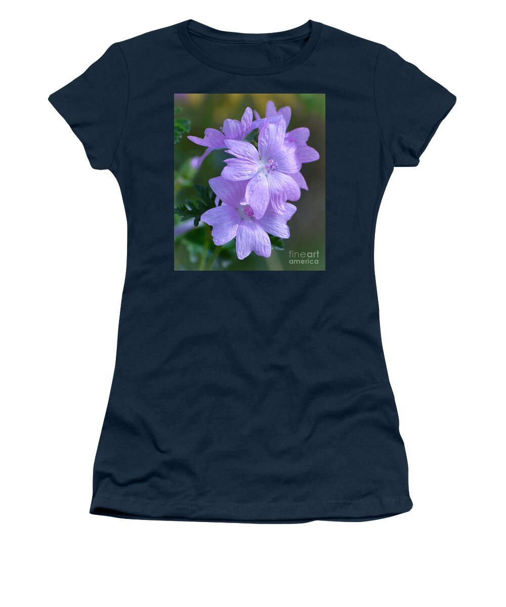 Mallow Women's T-Shirt featuring the photograph Mallow Blossoms by Amy Porter