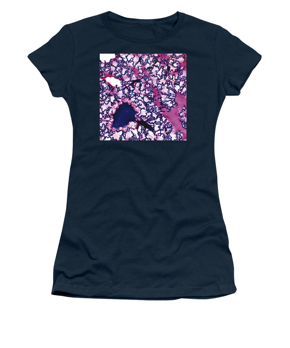 Cross-section Women's T-Shirt featuring the photograph Mammalian Lung Tissue LM by De Agostini Picture Library
