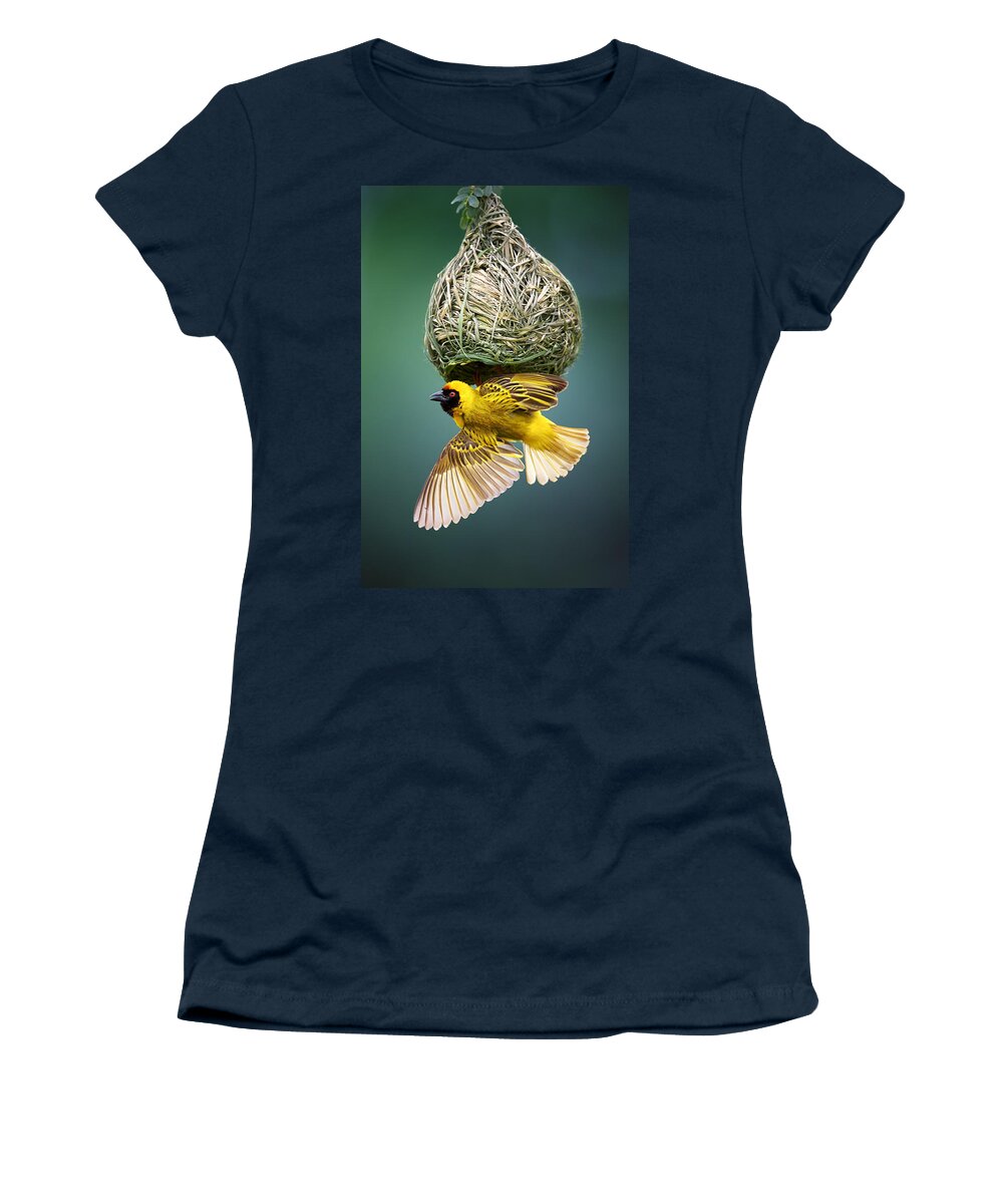 Africa Women's T-Shirt featuring the photograph Masked weaver at nest by Johan Swanepoel