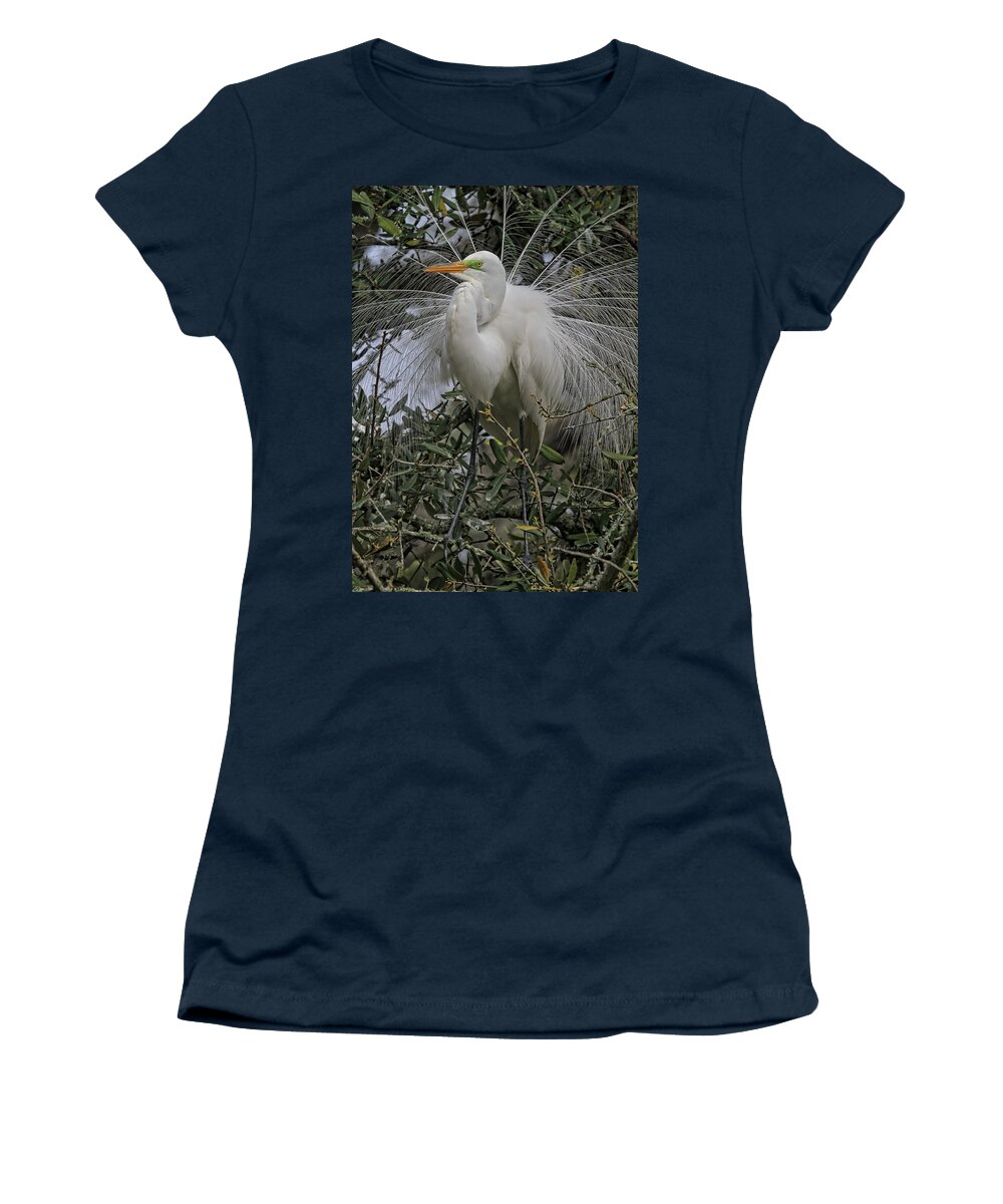 Egret Plummage Women's T-Shirt featuring the photograph Mating Plumage by Deborah Benoit