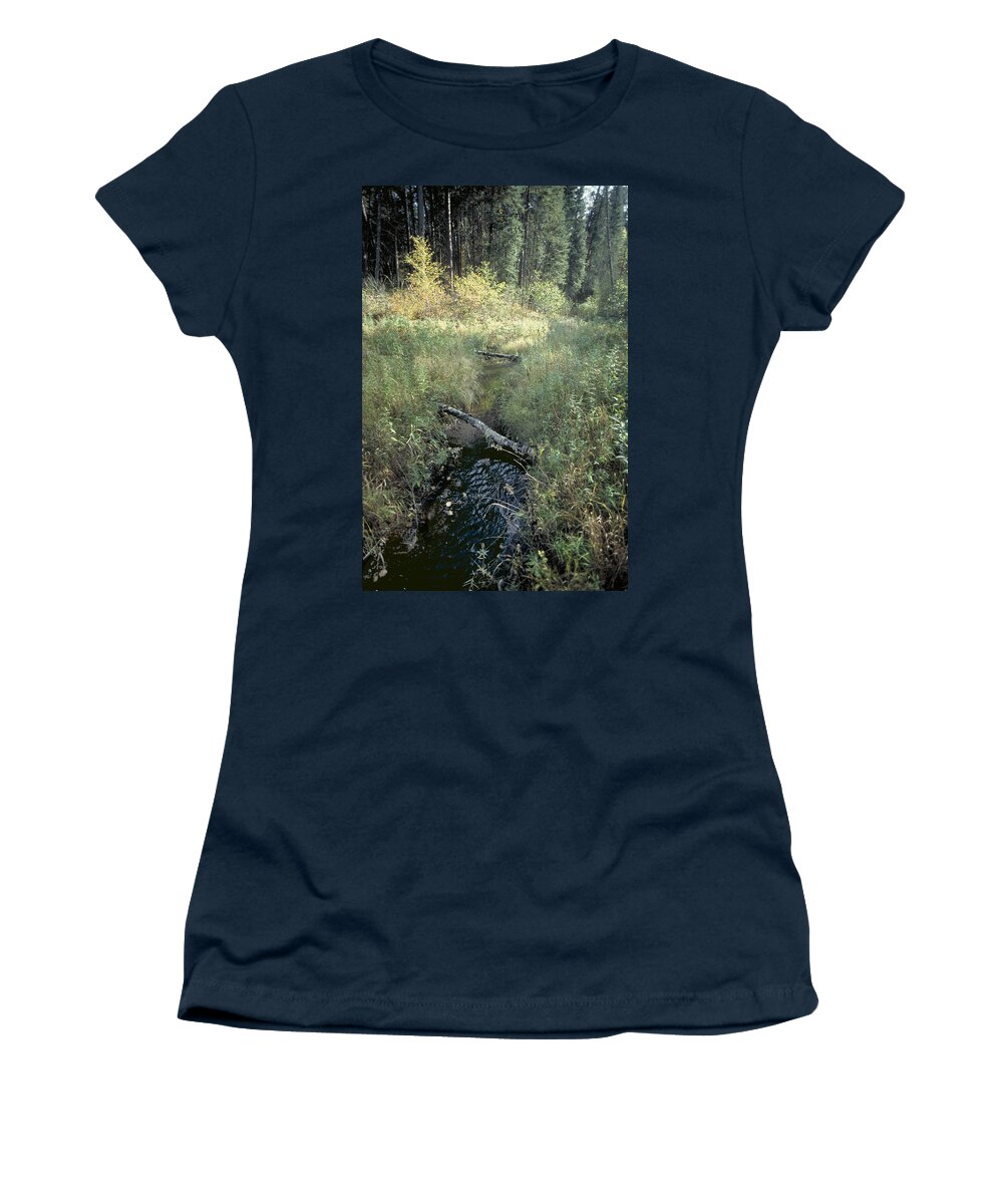 Mississppi River Women's T-Shirt featuring the photograph Mississippi River Headwaters by Garry McMichael
