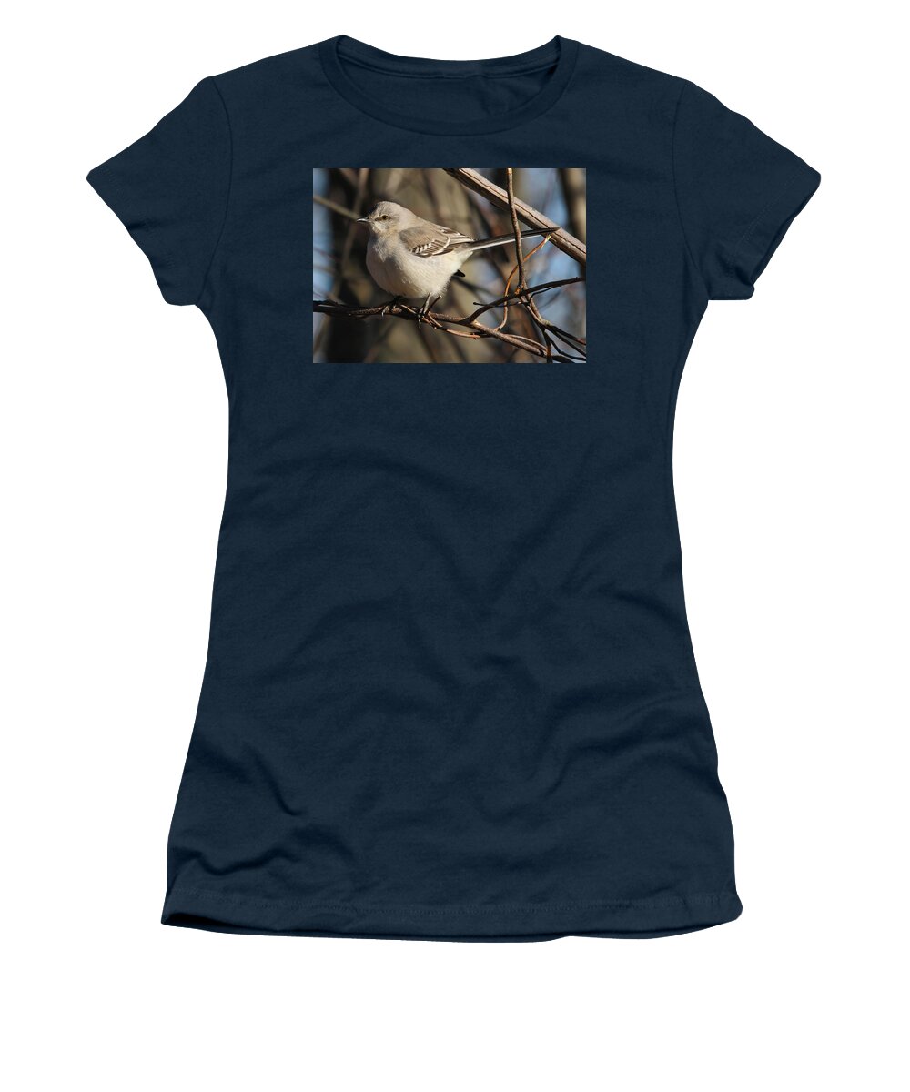 Bird Women's T-Shirt featuring the photograph Mockingbird by Roger Becker