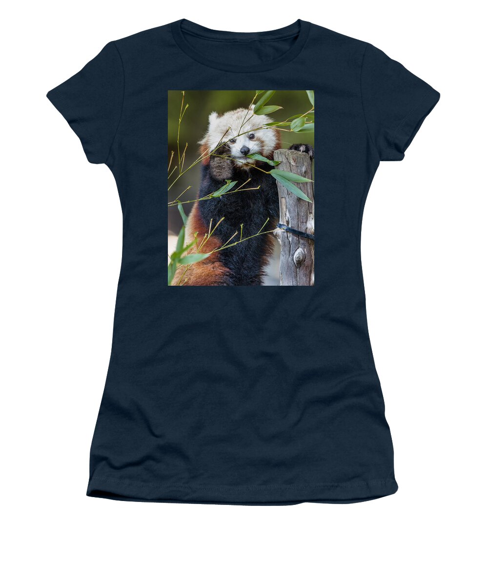 Mohu Women's T-Shirt featuring the photograph Mohu's Farewell by Greg Nyquist