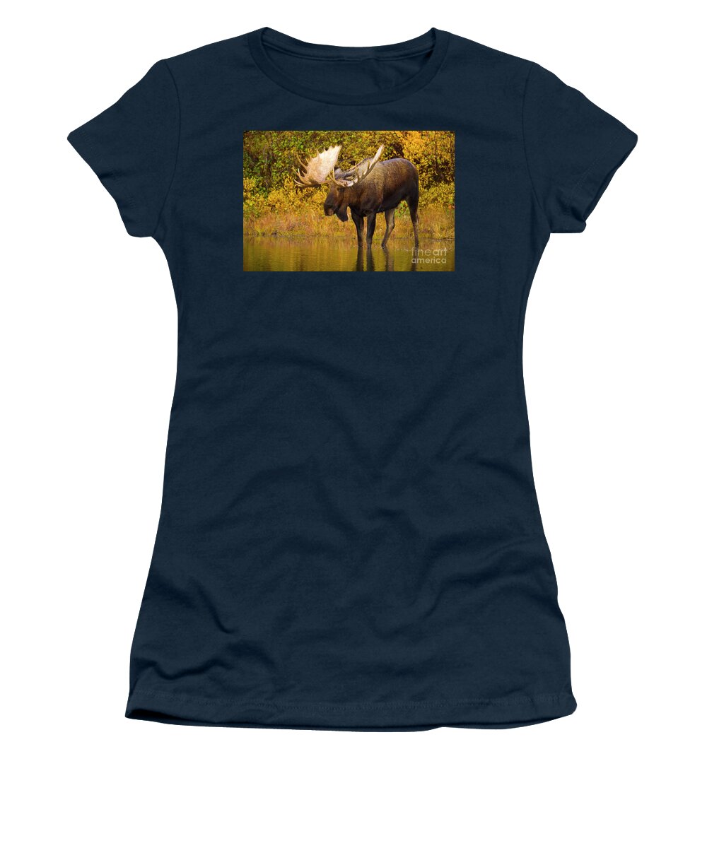 00345399 Women's T-Shirt featuring the photograph Moose In Glacial Kettle Pond by Yva Momatiuk John Eastcott