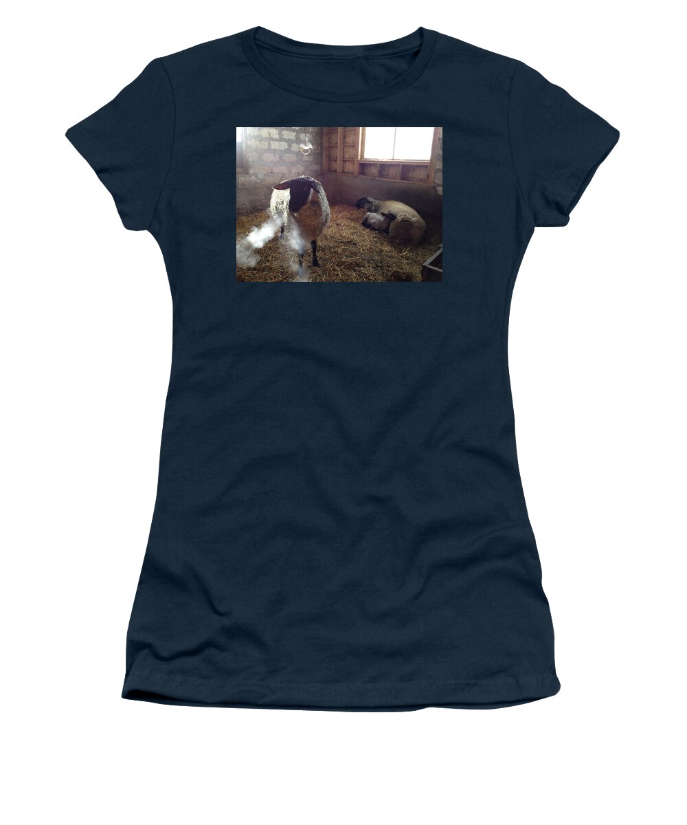 Farm Animals Women's T-Shirt featuring the photograph Morning Breath 1C by Carrie Godwin