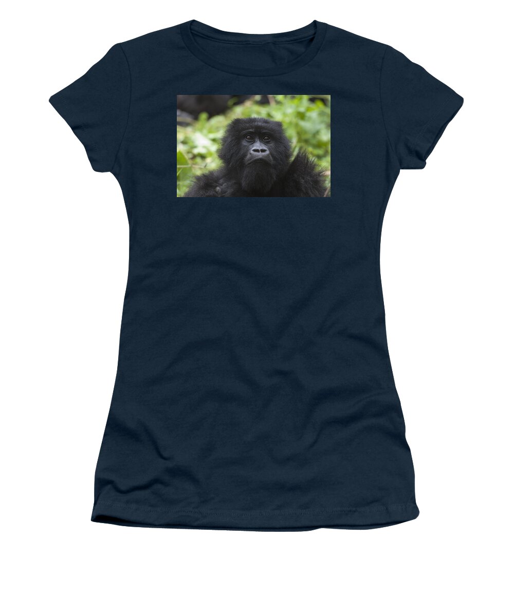 Feb0514 Women's T-Shirt featuring the photograph Mountain Gorilla Female Rwanda by D. & E. Parer-Cook