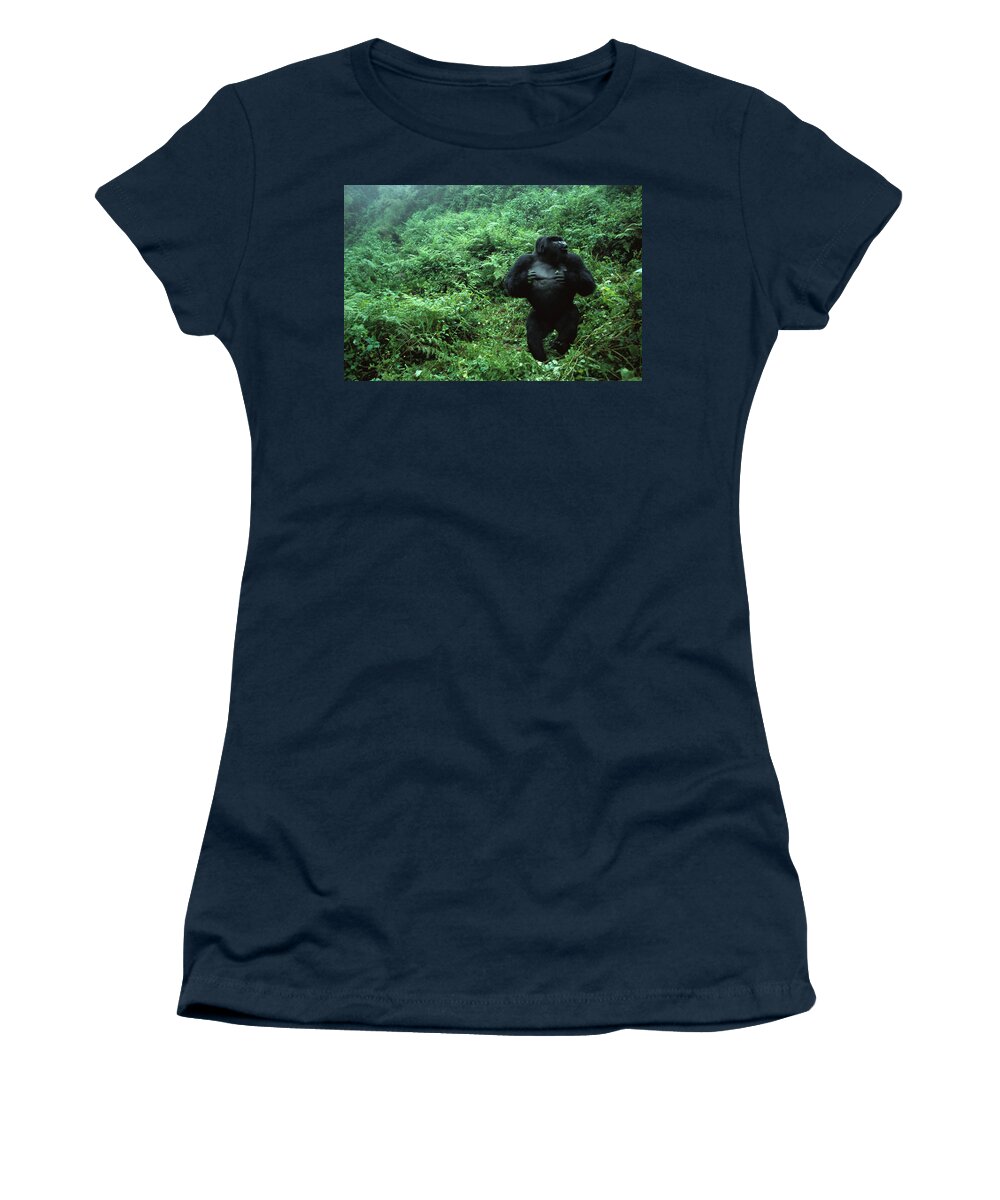 00620046 Women's T-Shirt featuring the photograph Mountain Gorilla Silverback Displaying by Cyril Ruoso