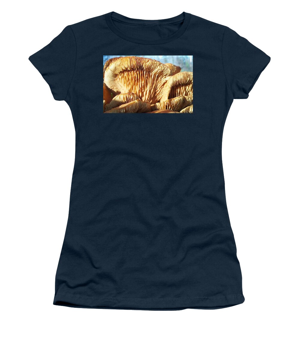 Mushrooms Women's T-Shirt featuring the photograph Mushrooms by Jan Marvin by Jan Marvin