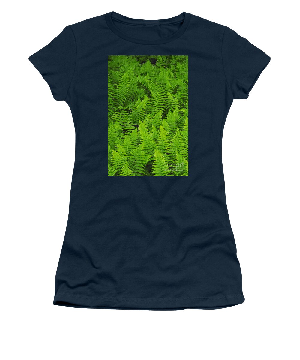 Nature Women's T-Shirt featuring the photograph New York Ferns by David Davis