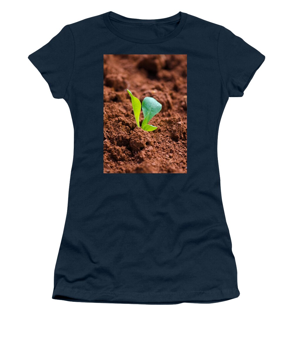 Plant Women's T-Shirt featuring the photograph Newborn Plant On Red Acre by Andreas Berthold