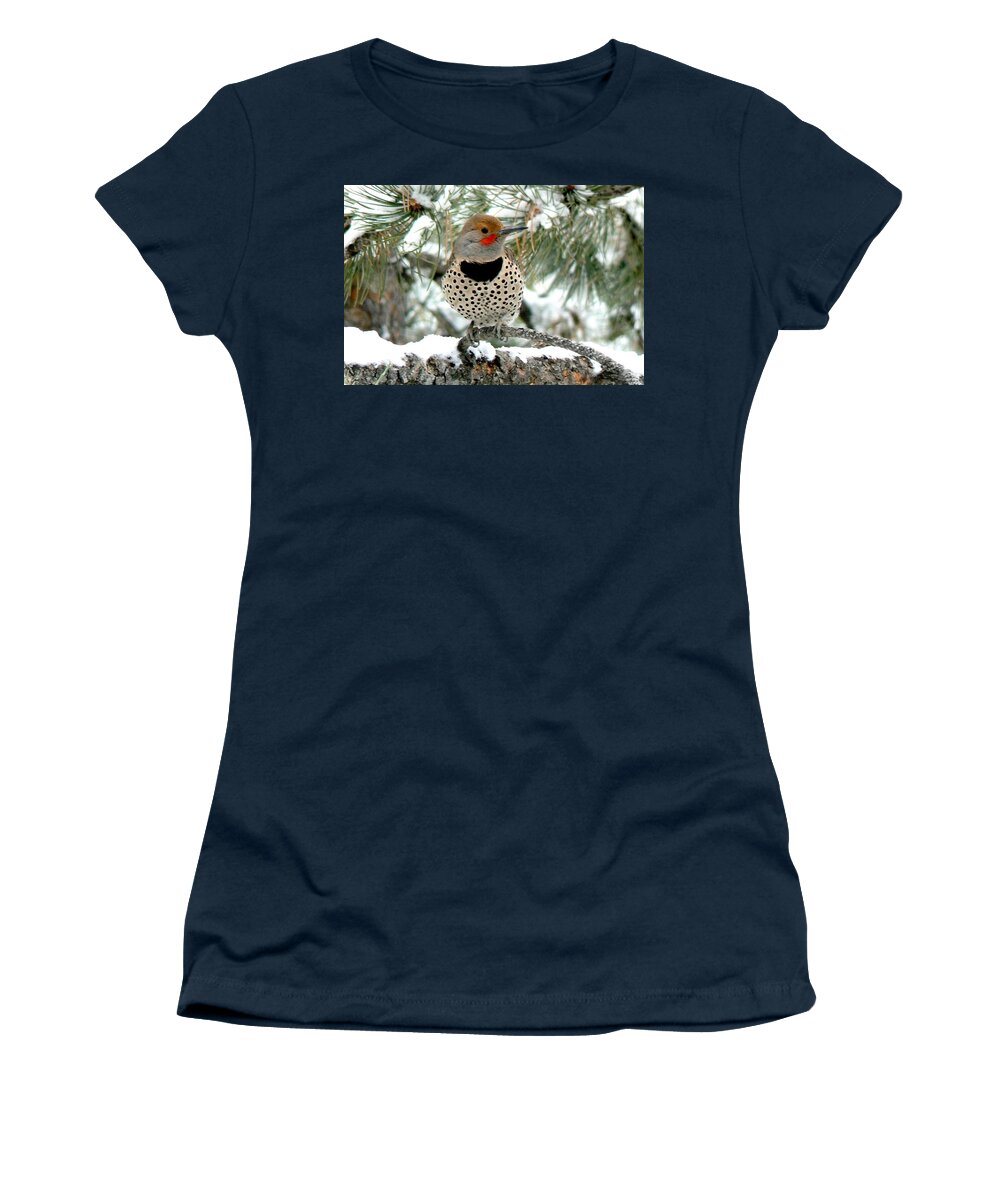 Colorado Women's T-Shirt featuring the photograph Northern Flicker on a Snowy Ponderosa by Marilyn Burton
