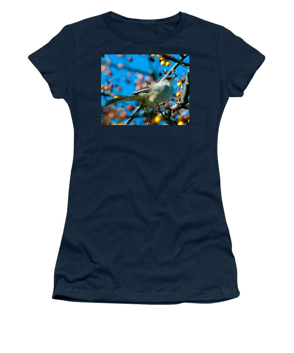 Mockingbird Women's T-Shirt featuring the photograph Northern Mockingbird by Bob Orsillo