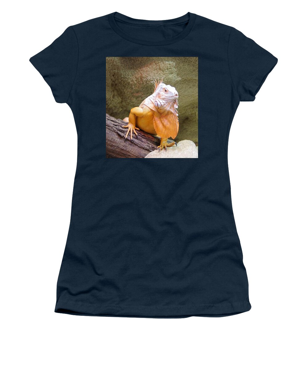 Iguana Women's T-Shirt featuring the photograph Out of Africa Orange Lizard 1 by Phyllis Spoor
