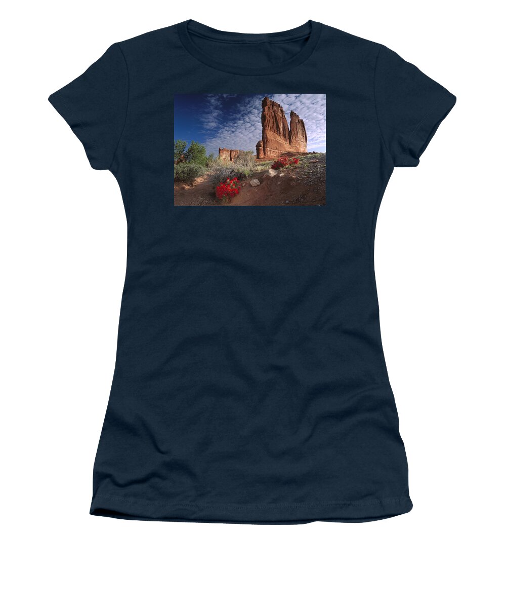 00175002 Women's T-Shirt featuring the photograph Paintbrush and The Organ Rock by Tim Fitzharris