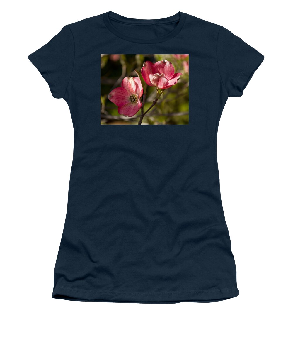 Dogwood Women's T-Shirt featuring the photograph Pair of Pink Dogwood by Jatin Thakkar
