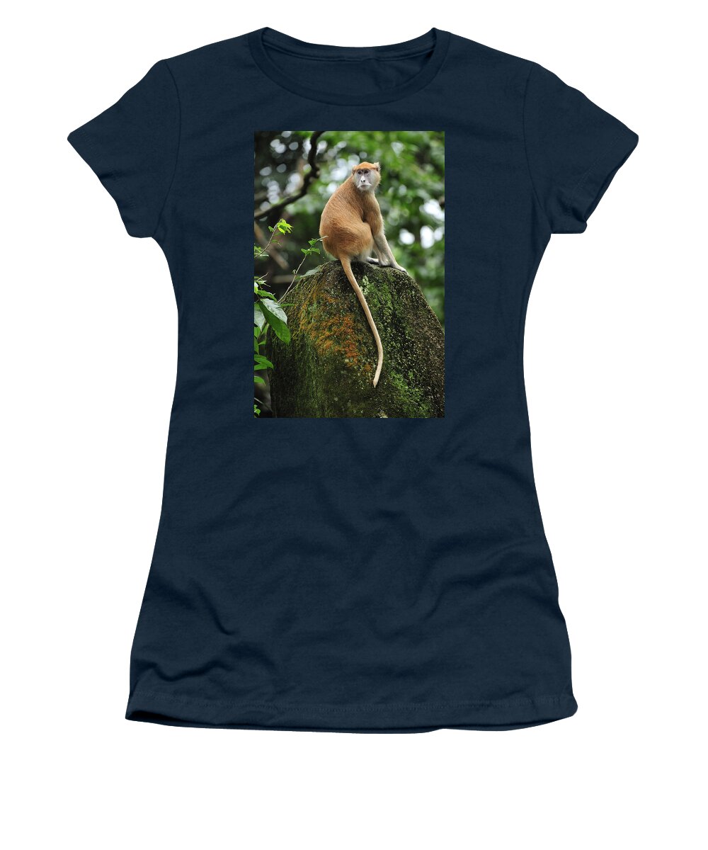 Thomas Marent Women's T-Shirt featuring the photograph Patas Monkey by Thomas Marent